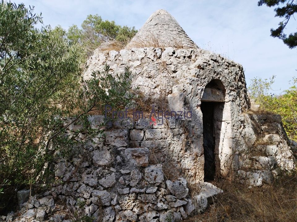 Landejendom i San Vito dei Normanni, Brindisi - foto 4